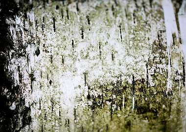 Wood macro trippy abstract