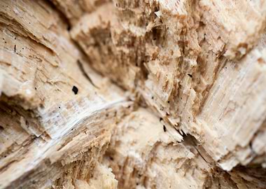 Wood macro trippy abstract