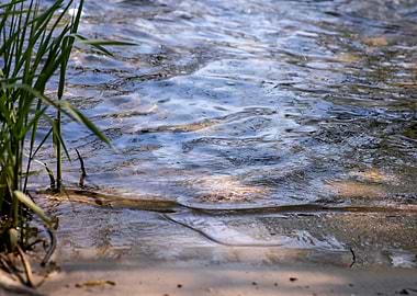 Lippe river in Olfen