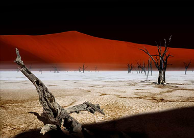 dead vlei composition