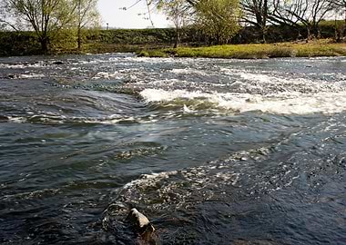 Lippe river in Olfen