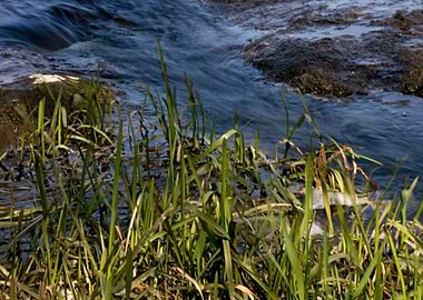 Lippe river in Olfen