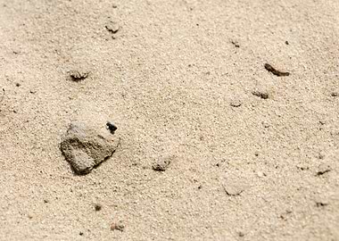 Sea sand macro fine prints