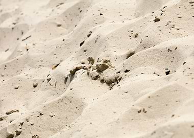 Sea sand macro fine prints