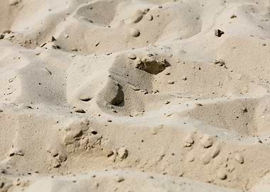 Sea sand macro fine prints