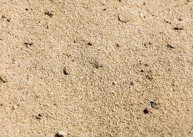 Sea sand macro fine prints