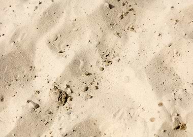 Sea sand macro fine prints