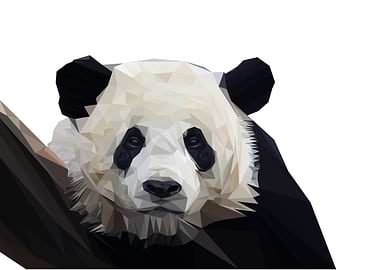 panda