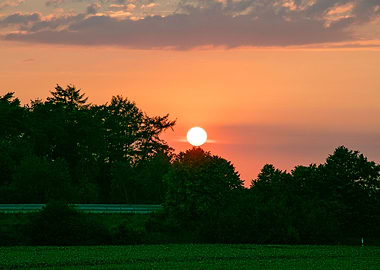 Beutiful sun gazing prints