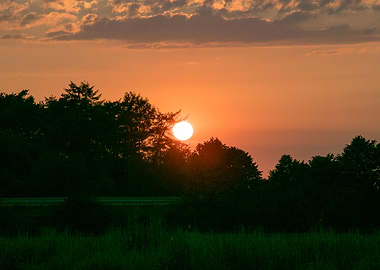 Beutiful sun gazing prints