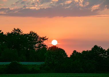 Beutiful sun gazing prints