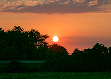 Beutiful sun gazing prints