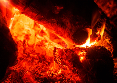 Woods on night fire prints