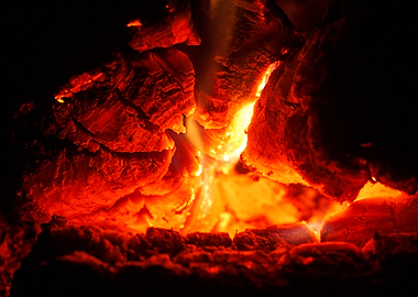 Woods on night fire prints