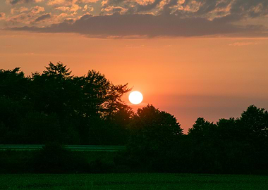 Beutiful sun gazing prints