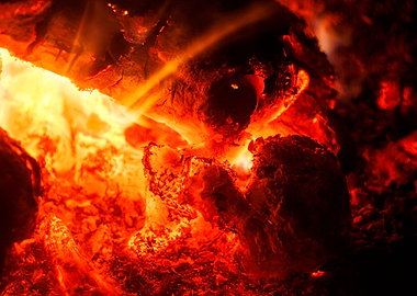 Woods on night fire prints