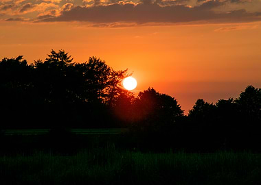 Beutiful sun gazing prints