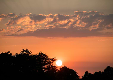 Beutiful sun gazing prints