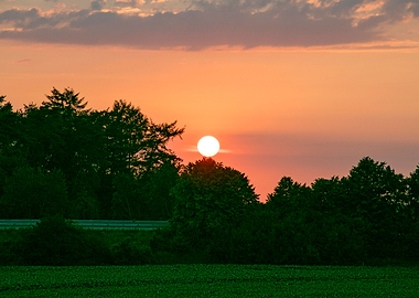 Beutiful sun gazing prints