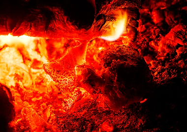 Woods on night fire prints