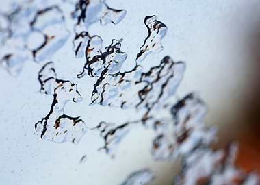 Iced window macro abstract