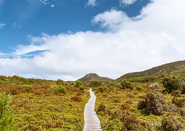 Hartz National Park TAS
