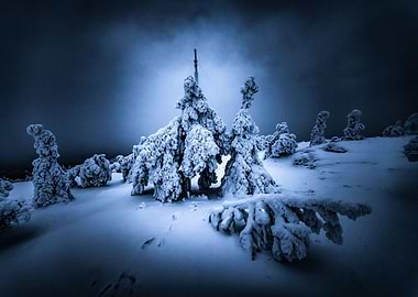 Finland Lappland at night