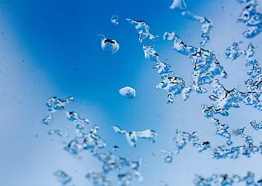 Iced window macro abstract