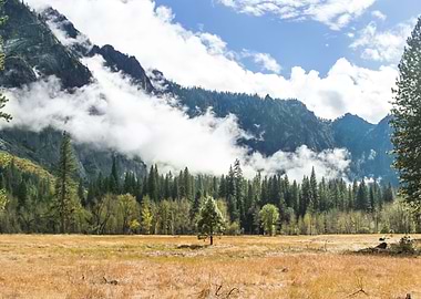Yosemite