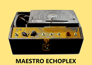 Maestro Echoplex