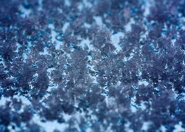 Iced window macro abstract