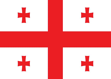 Georgia Flag