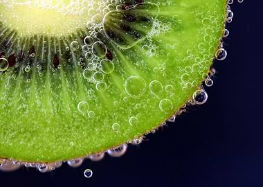 Submerged kiwi