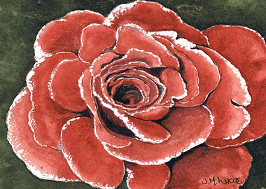 Watercolour Rose