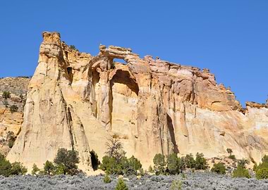 along cottonwood road