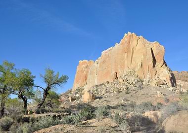 along cottonwood road