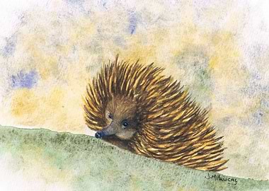 Spikey Little Friend