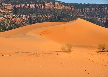 coral pink sand dunes