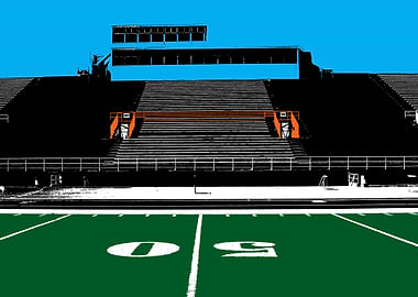 Football field art popart