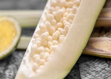 green papaya still life