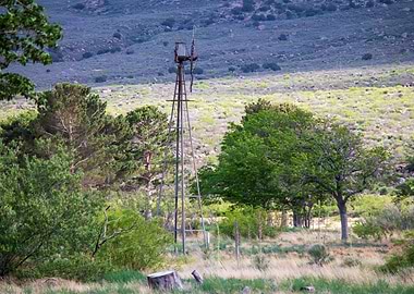 Windmill on Golf Course