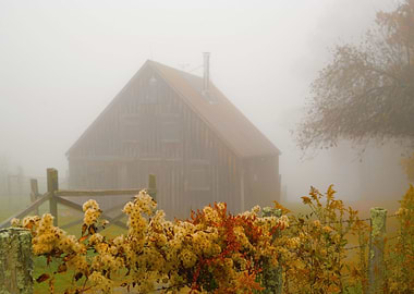 Autumn Mist