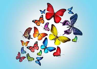 Beautiful Butterflies