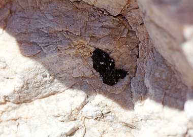 Sea rocks macro fine print