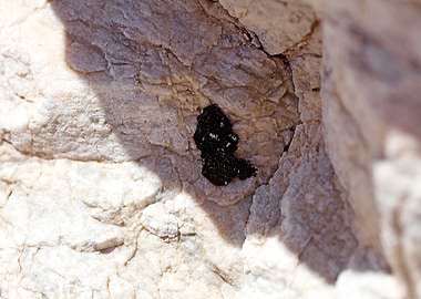 Sea rocks macro fine print