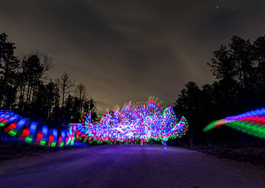 Dancing under the stars