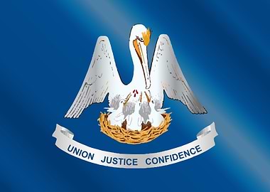 Louisiana State Flag Gloss