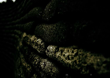 Brownies and Cookie Dough