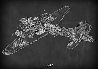 B 17