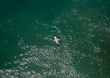 Waves summer abstract art